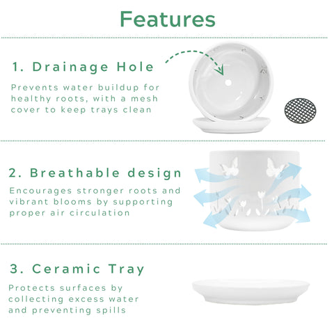 Thriving Thicket matching ceramic saucer catches runoff to protect surfaces.