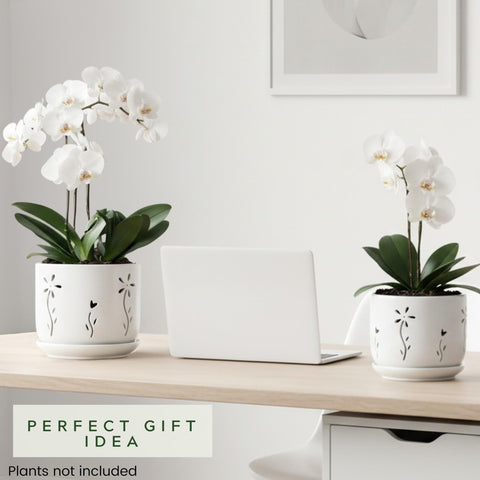 Thriving Thicket secure delivery packaging protects ceramic pots.