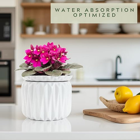 Thriving Thicket self-watering reservoir ensures consistent plant hydration