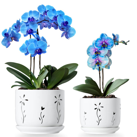 Thriving Thicket white ceramic orchid pot 5-inch with airflow-friendly design.