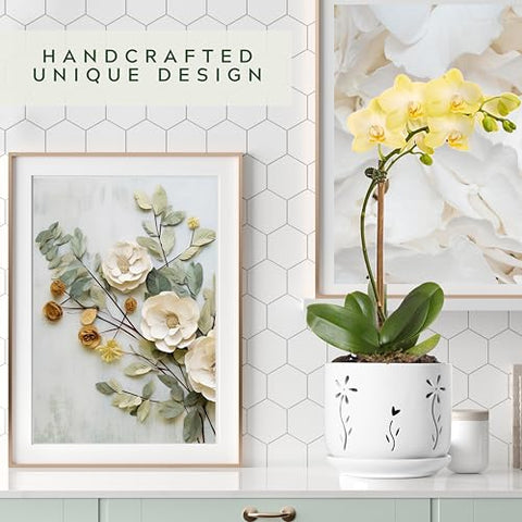 Thriving Thicket orchid pot with saucer in a tidy orchid display.