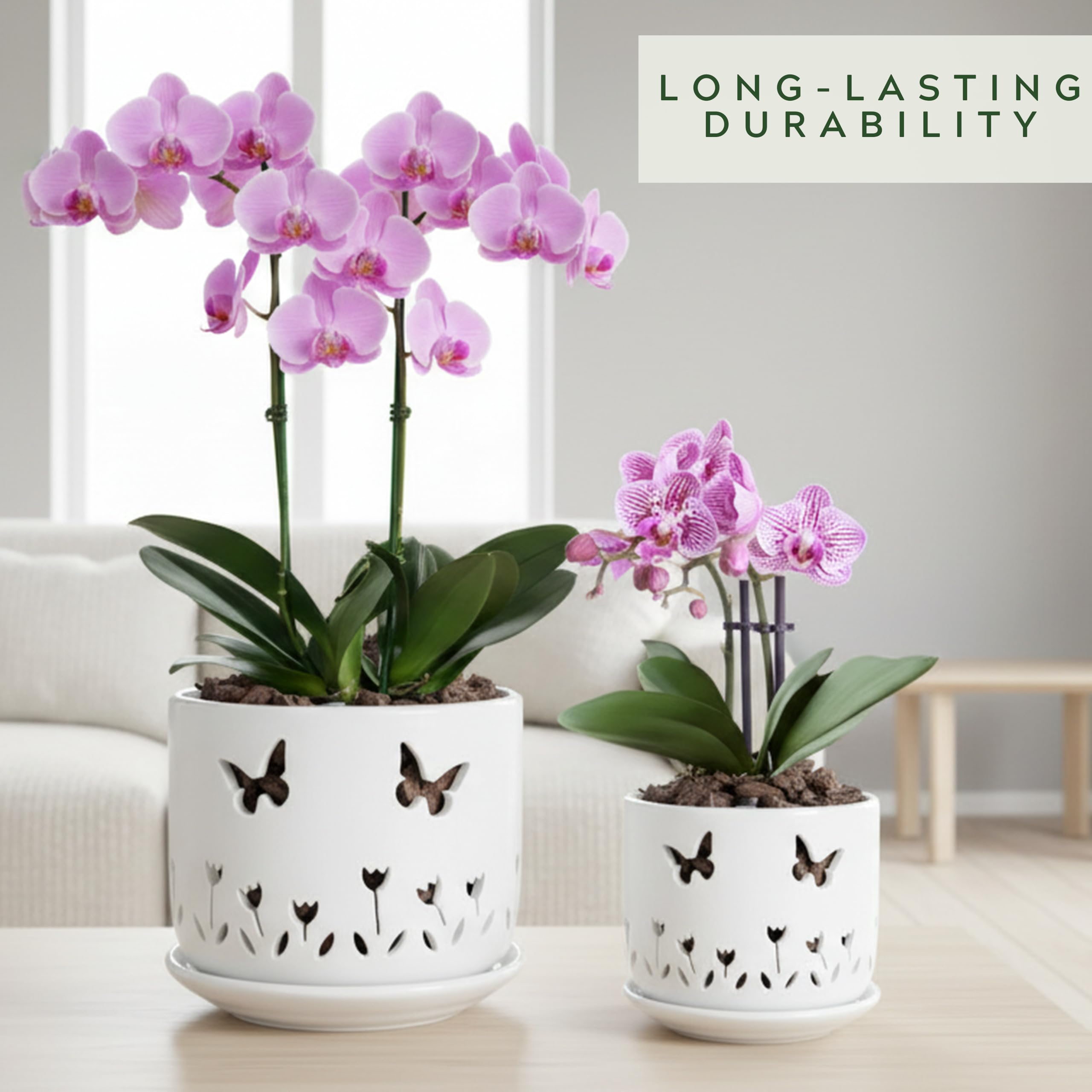 Thriving Thicket white ceramic saucer set complements the orchid pots.