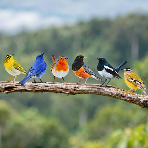 Throjin double-sided birds offer year-round visual interest on fences.