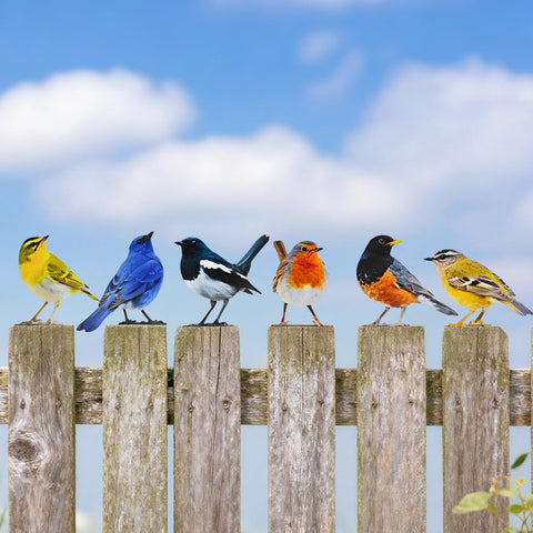 Throjin outdoor bird sculptures brighten yard decor with two-sided printed designs.
