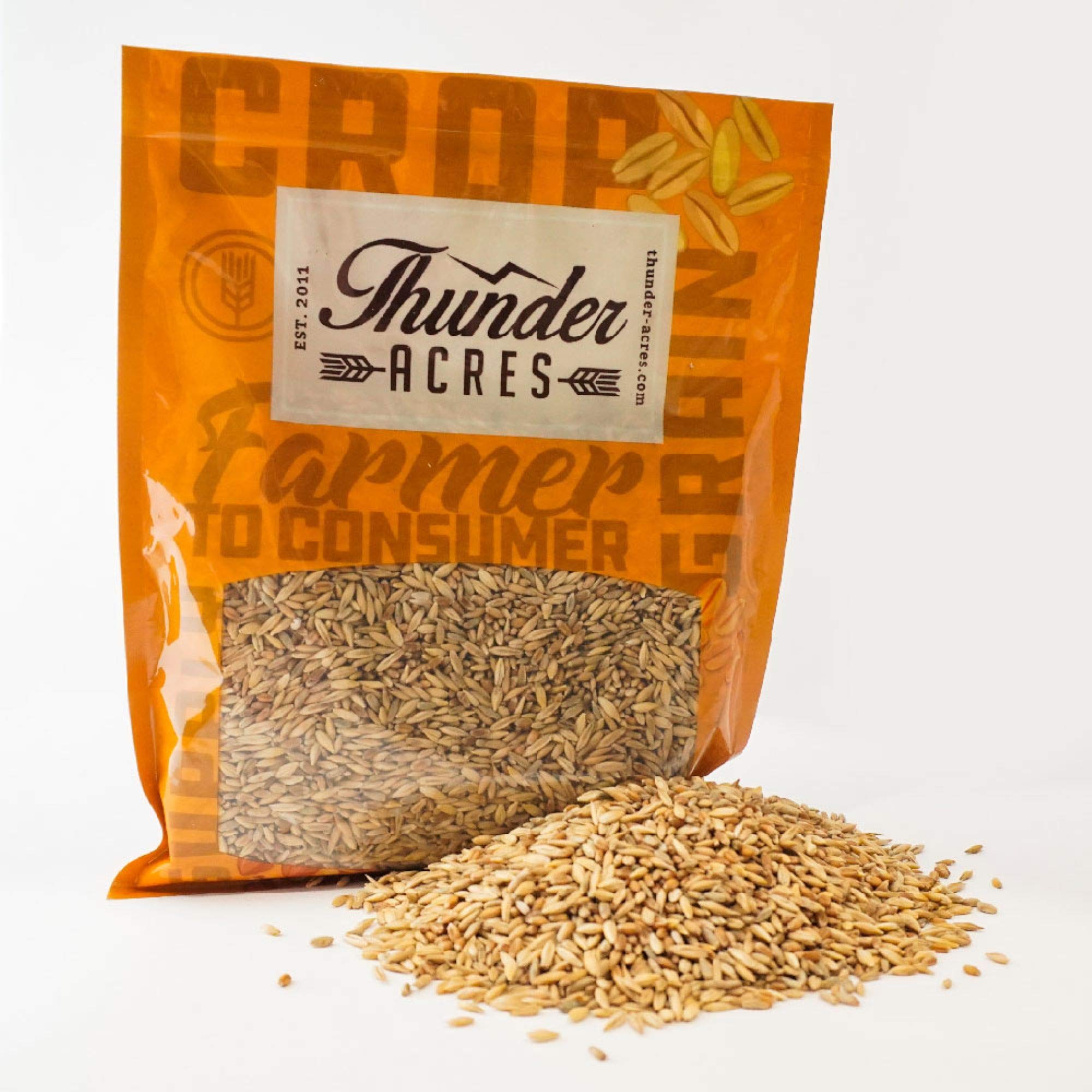 Thunder Acres Cat Grass Blend sourced in the United States for quality.