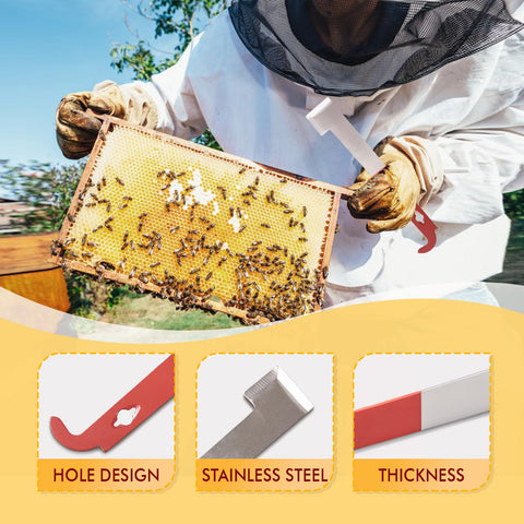 ThxBees beehive frame inspection tools in action