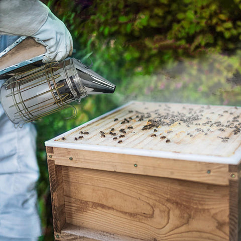 ThxBees Bee Hive Smoker easy to use for both beginners and pros