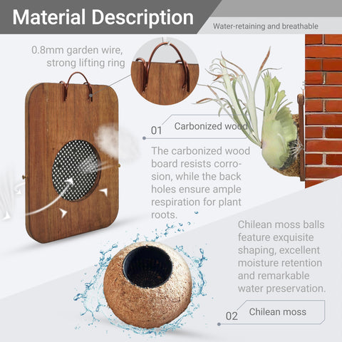 THXTYVM 360-degree aeration moss ball supports robust root oxygenation