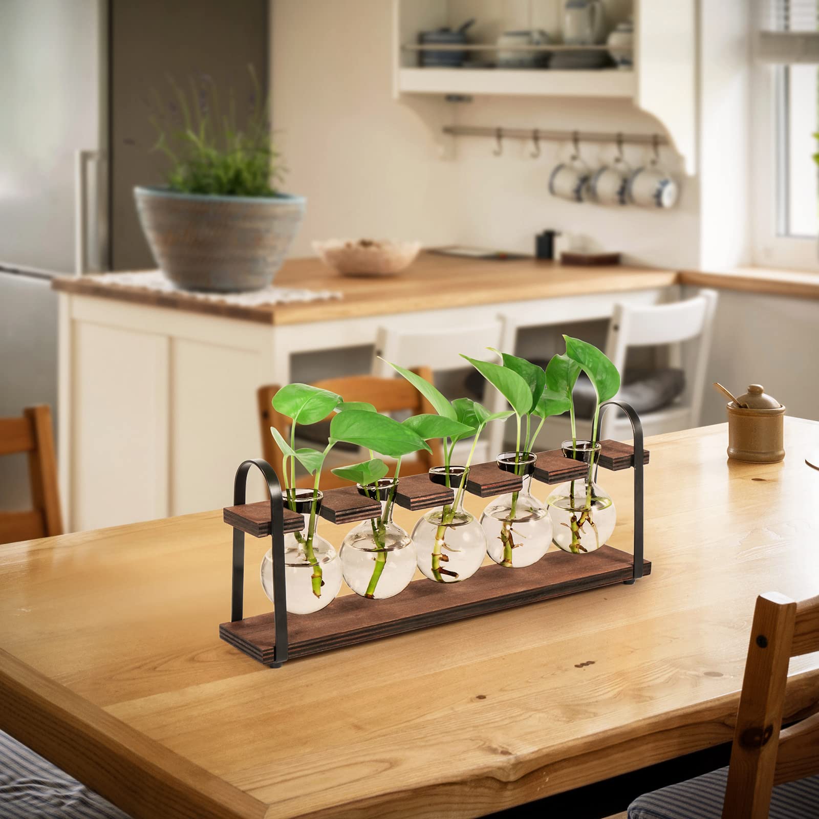 THYGIFTREE ideal housewarming gift for plant lovers and decor enthusiasts.