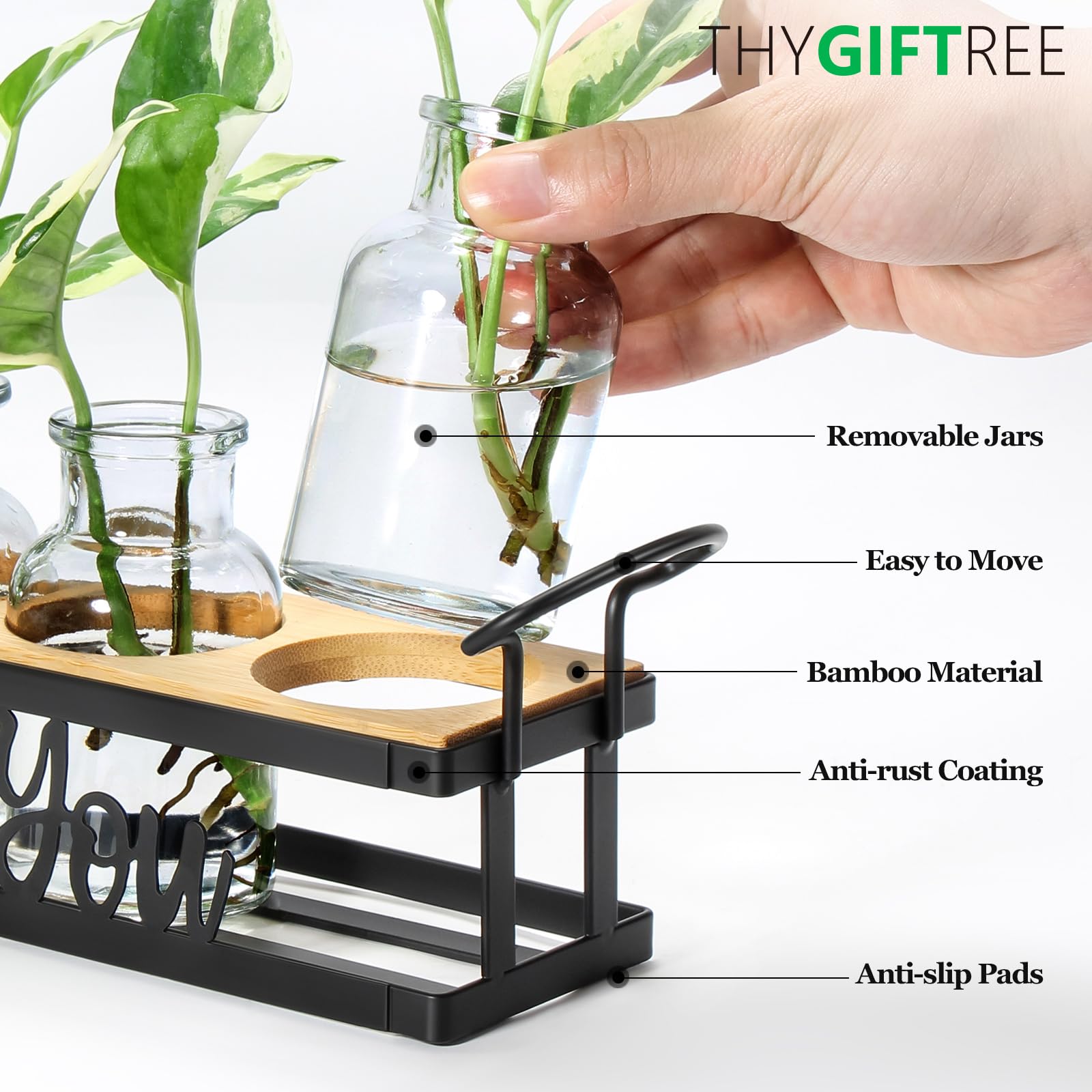 THYGIFTREE propagation station bottles arranged for rooted cuttings and observation