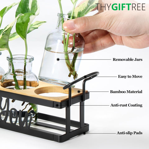 THYGIFTREE propagation station bottles arranged for rooted cuttings and observation