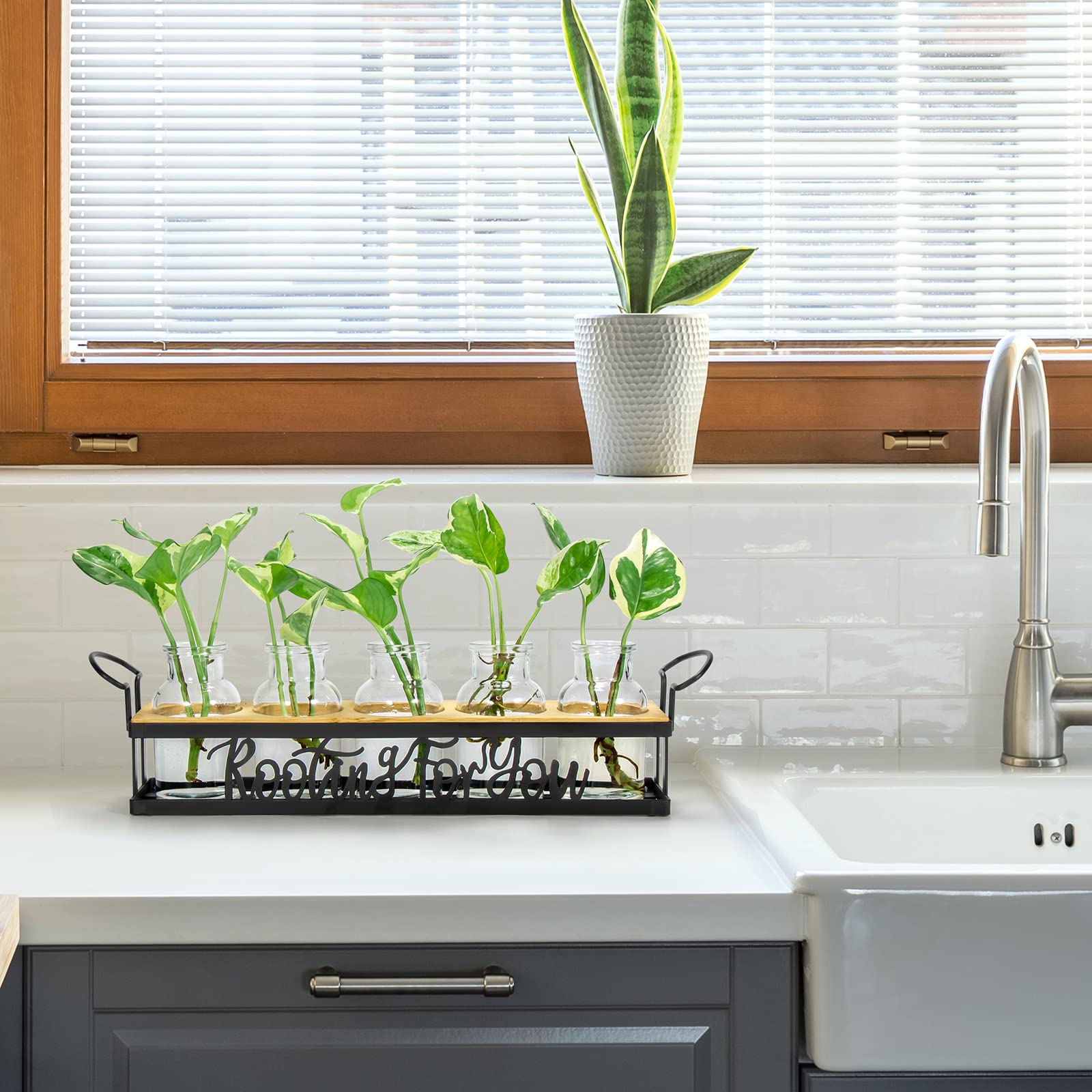 THYGIFTREE cleaning brush included for jar maintenance