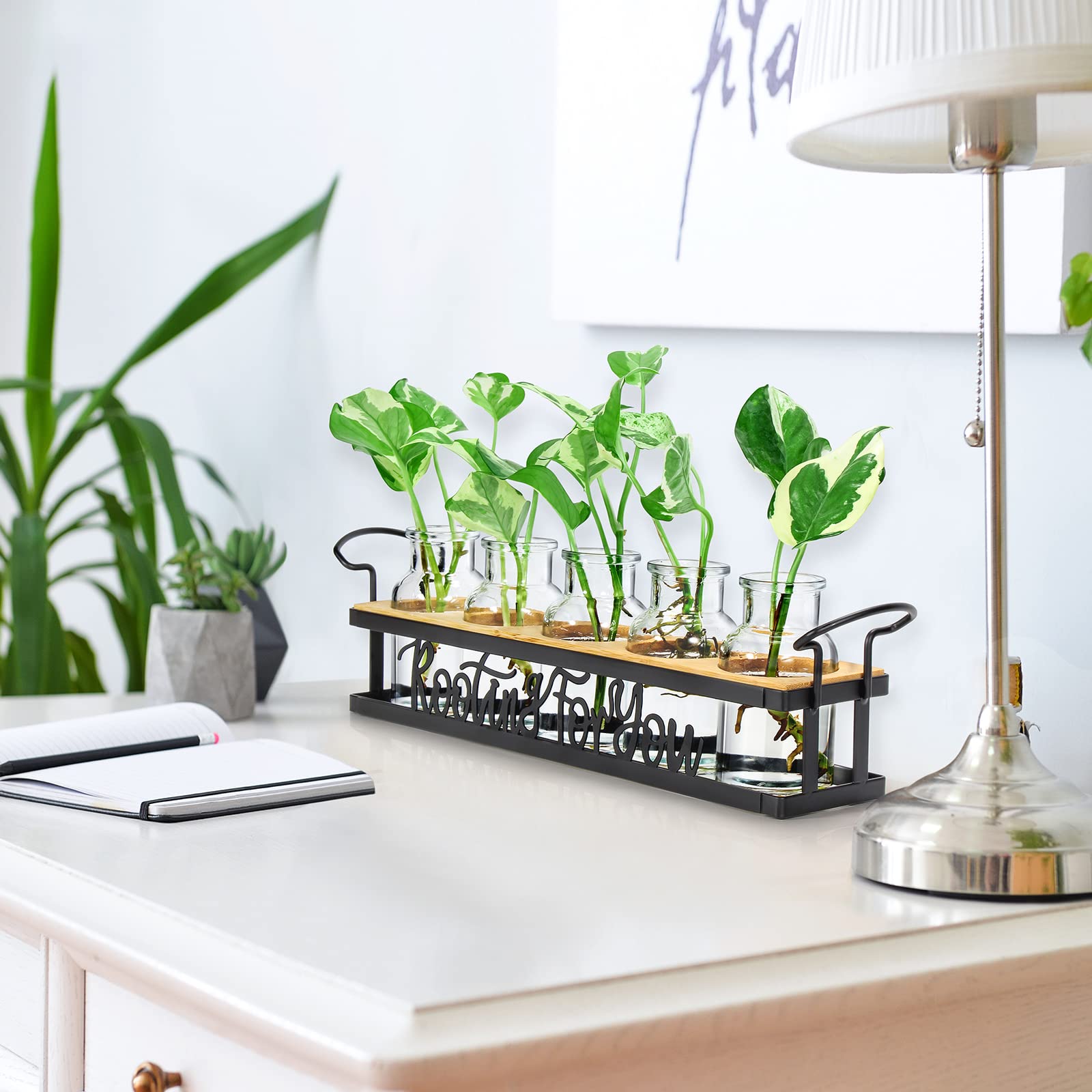 THYGIFTREE desk-display setup adds greenery to home or office