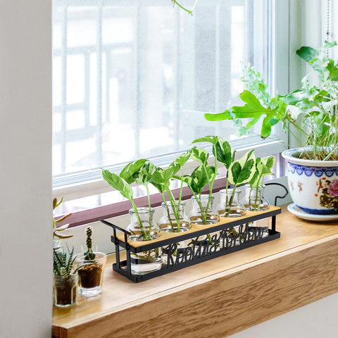 THYGIFTREE open-mouth jar emphasizes easy water changes and cleaning