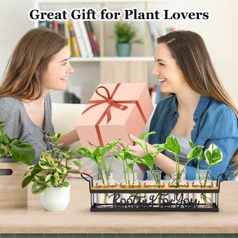 THYGIFTREE plant ideas showcase with pothos, monstera, ivy and more