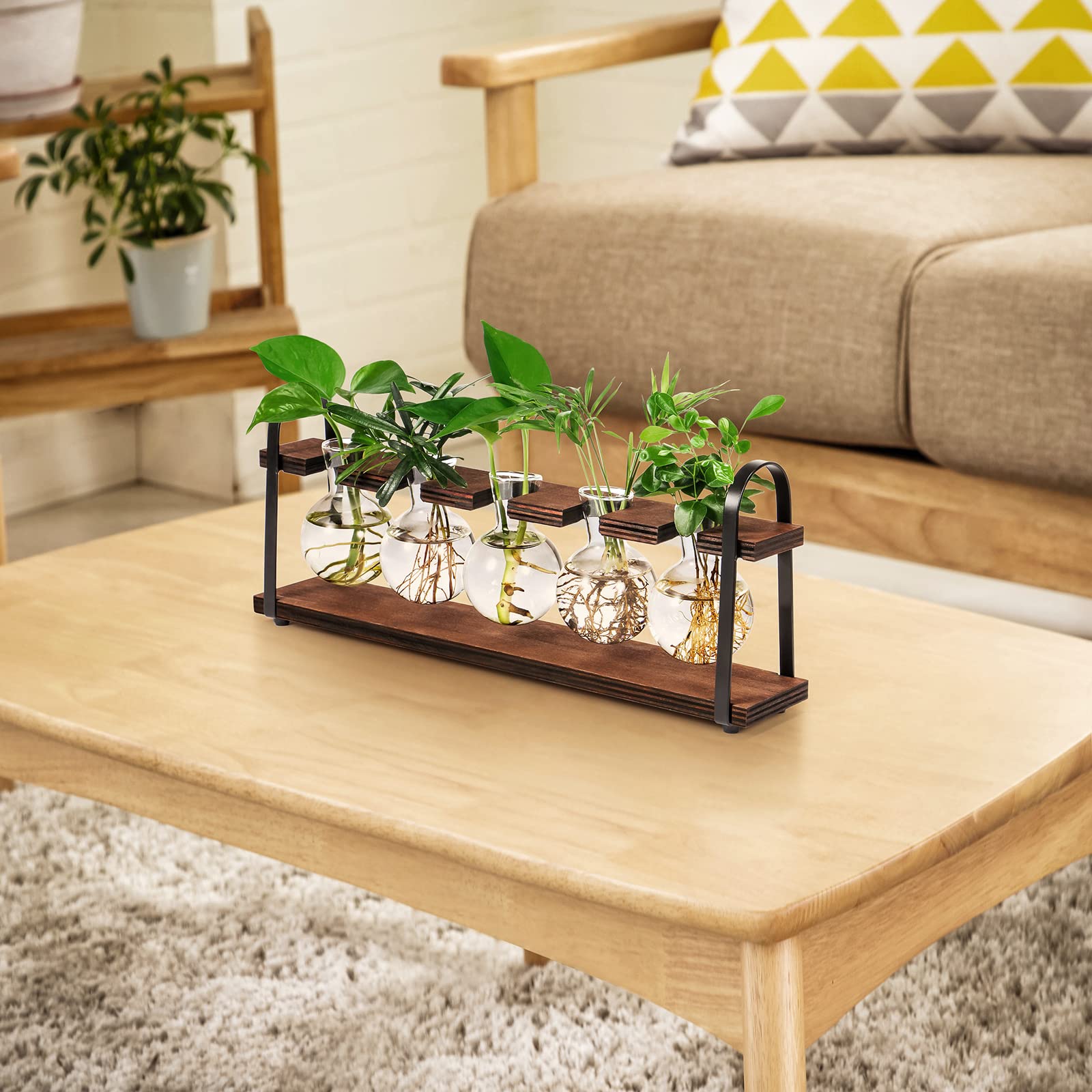 THYGIFTREE retro desk terrarium adds chic vibe to small spaces.