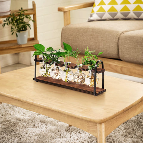 THYGIFTREE retro desk terrarium adds chic vibe to small spaces.