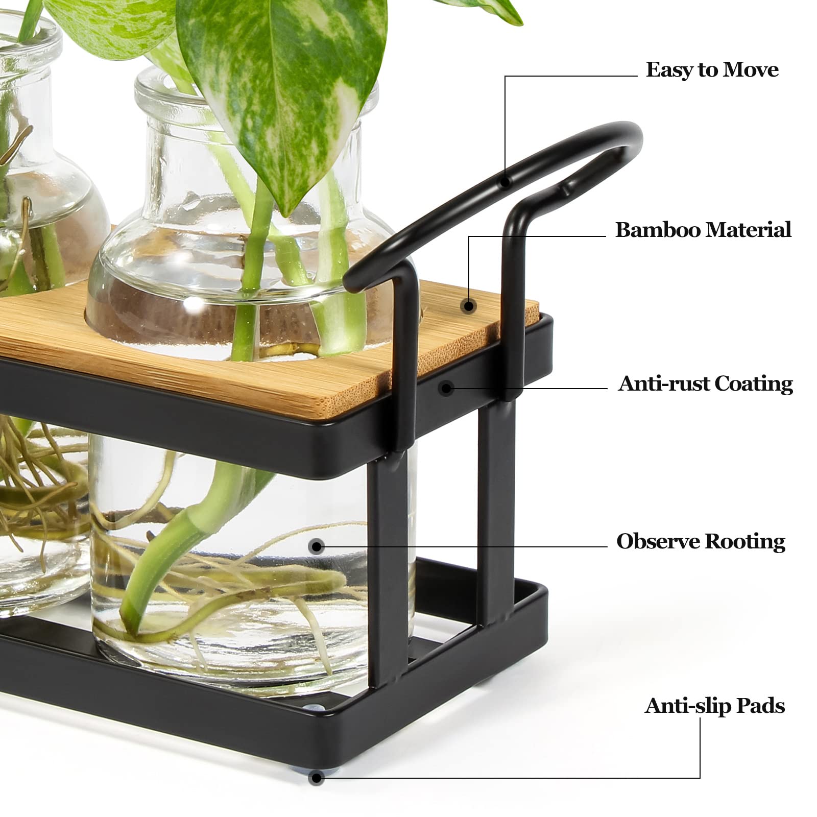 THYGIFTREE table-top terrarium with glass bottles, showcasing roots as plants establish