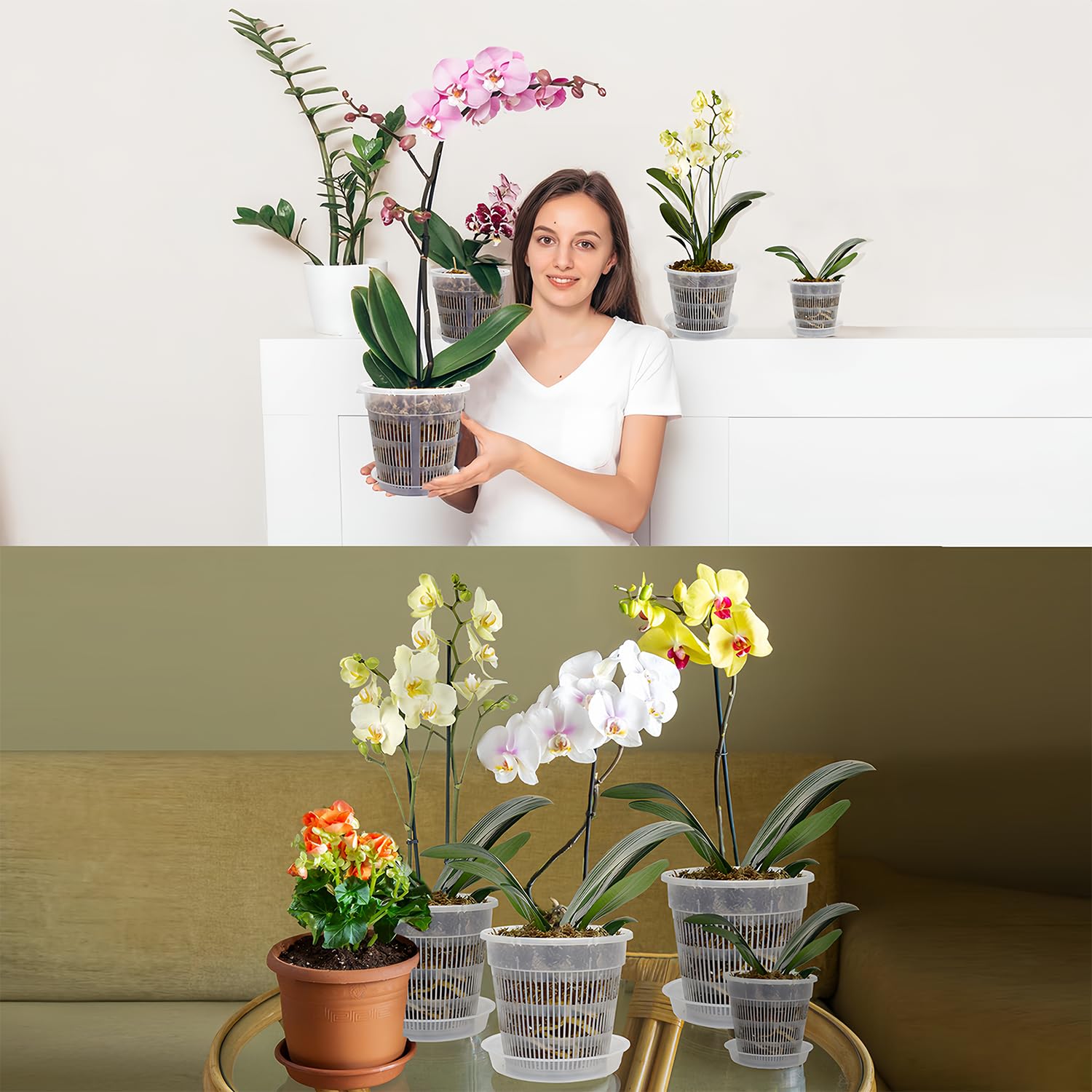 Tialero transparent orchid pots enable root visibility and airflow