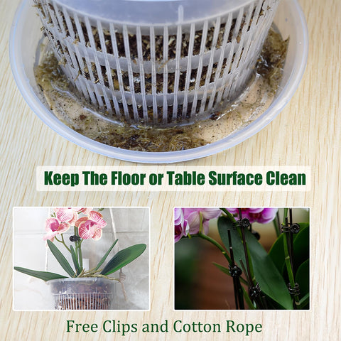 Tialero clear saucer catches drainage while keeping surfaces clean.