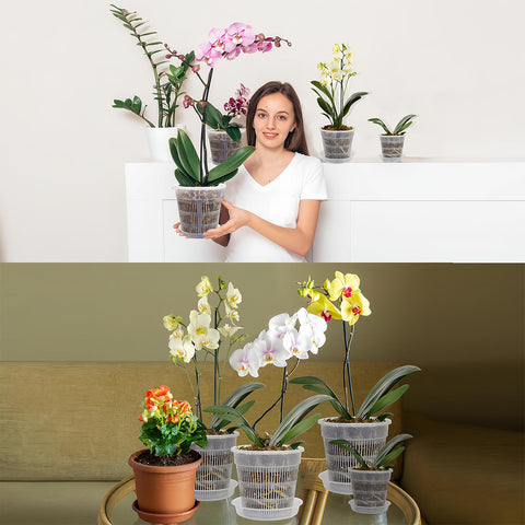 Tialero orchid pot set designed for indoor and outdoor use.