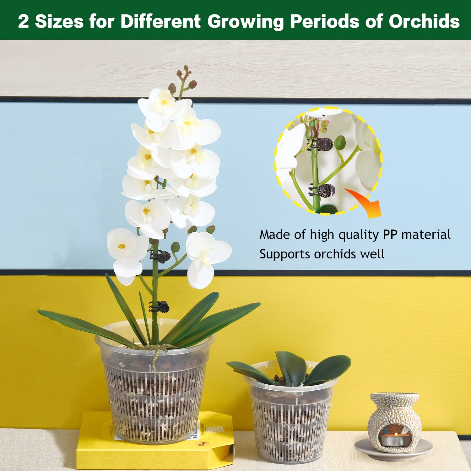 Tialero orchid pot 360-degree ventilation holes promote healthy root oxygenation.