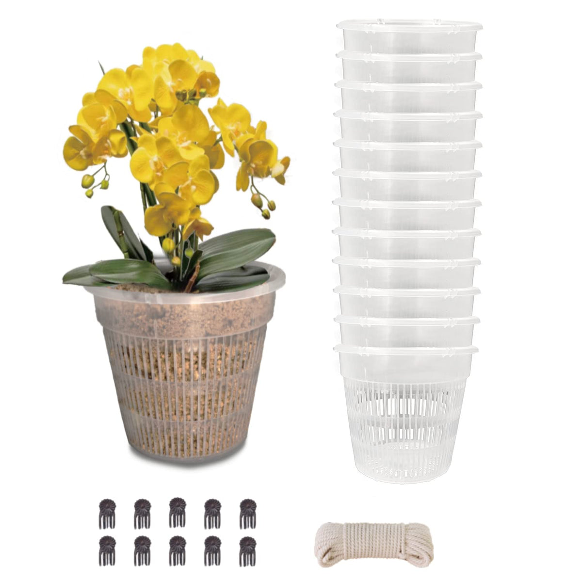 Tialero orchid pot 4.5in clear view with visible roots for easy monitoring.