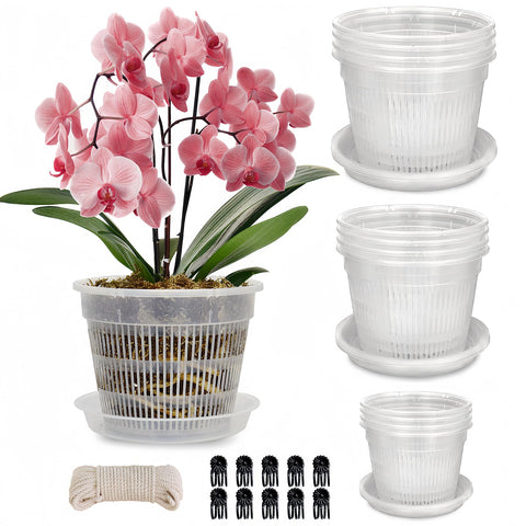 Tialero orchid pot 4.5in with saucer for clean drainage and easy repotting.