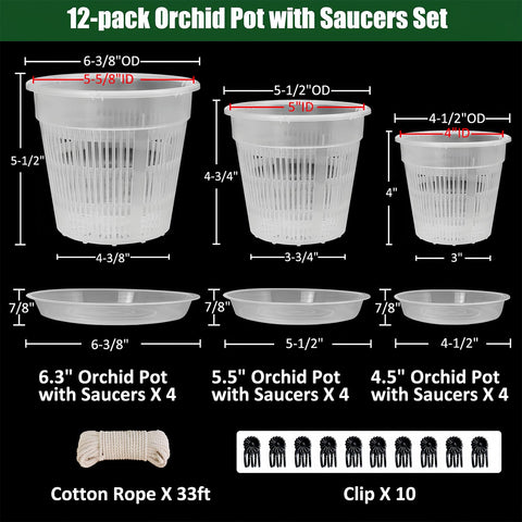 Tialero orchid pot 5.5in with saucer for steady growth and water capture.