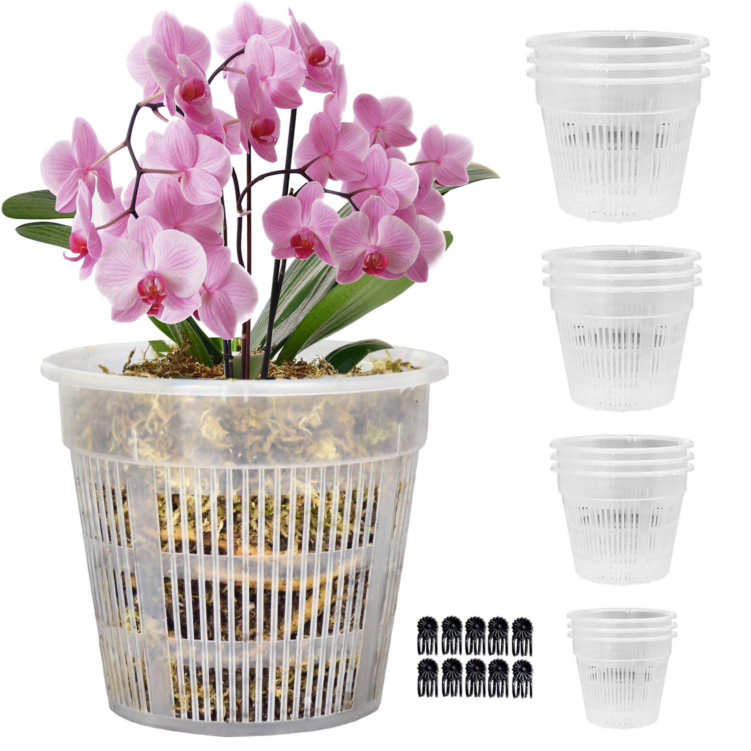 Tialero 7.5-inch clear orchid pot showing root visibility for monitoring