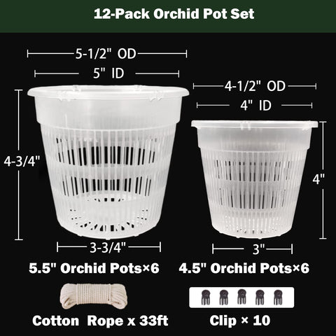Tialero orchid pot clear 4.5in top view shows airflow and drainage.