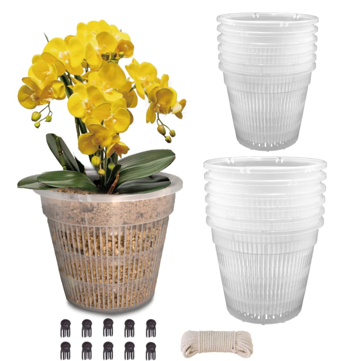 Tialero orchid pot clear 5.5in top view reveals roots and moisture at a glance.