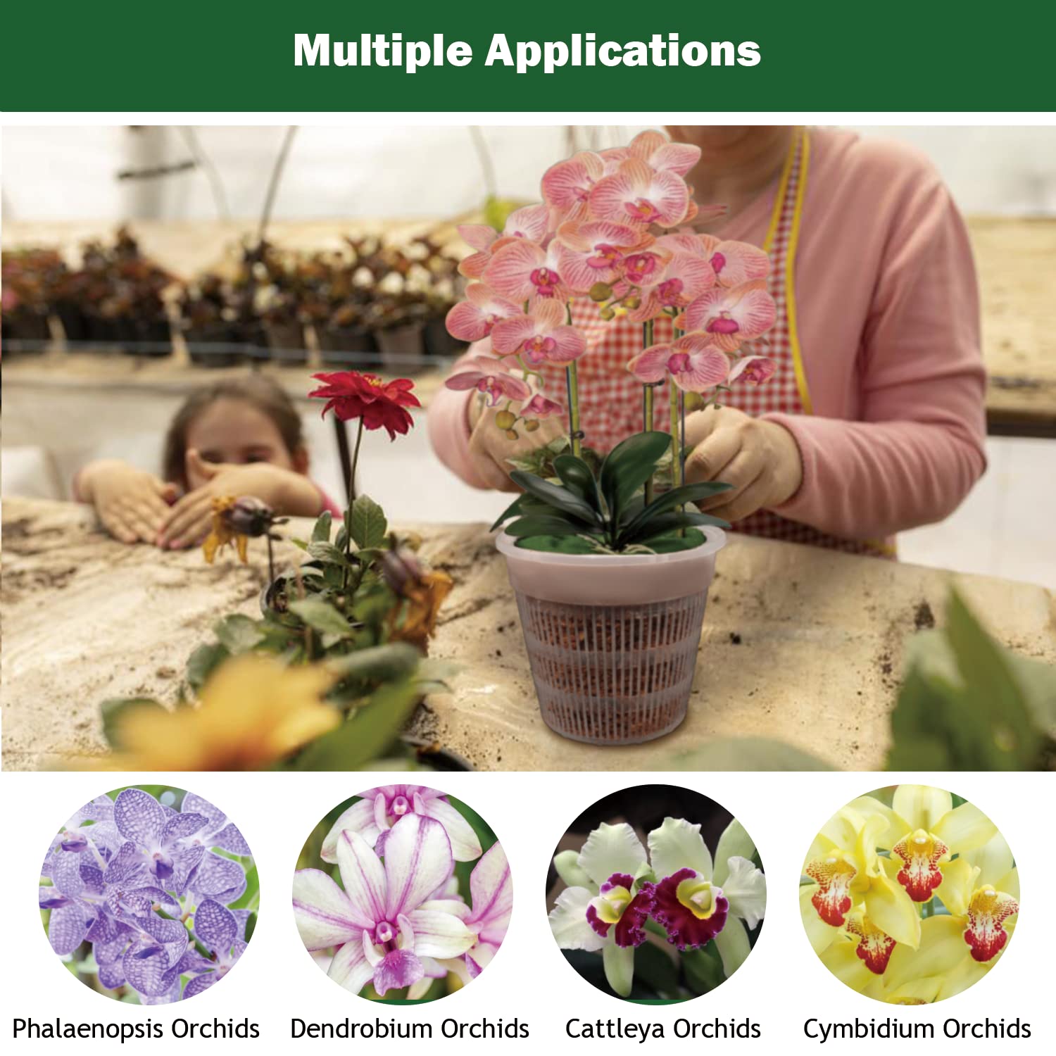 Tialero orchid pot compact design suitable for countertop use.
