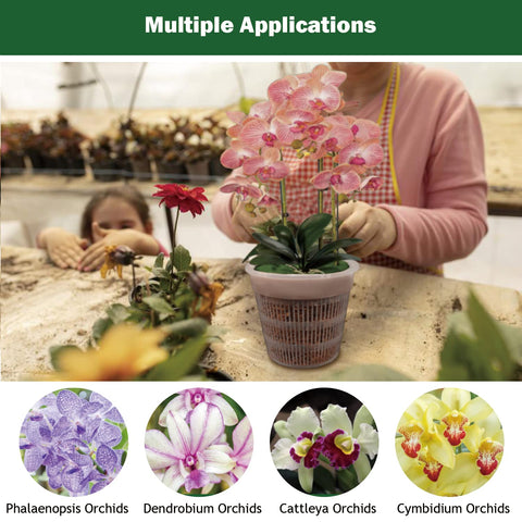 Tialero orchid pot compact design suitable for countertop use.