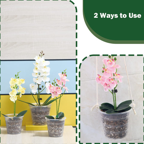 Tialero orchid pot compatible with dendrobium phalaenopsis and other varieties