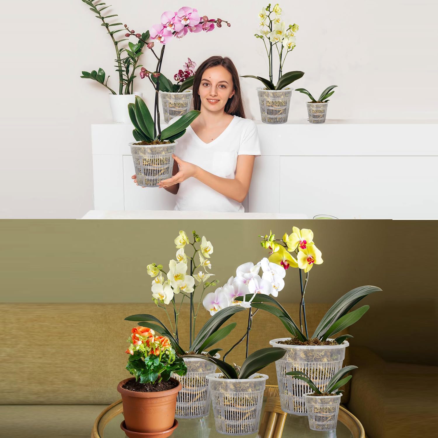 Tialero orchid pot set contents organized for easy repotting and display