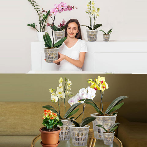 Tialero orchid pot set contents organized for easy repotting and display