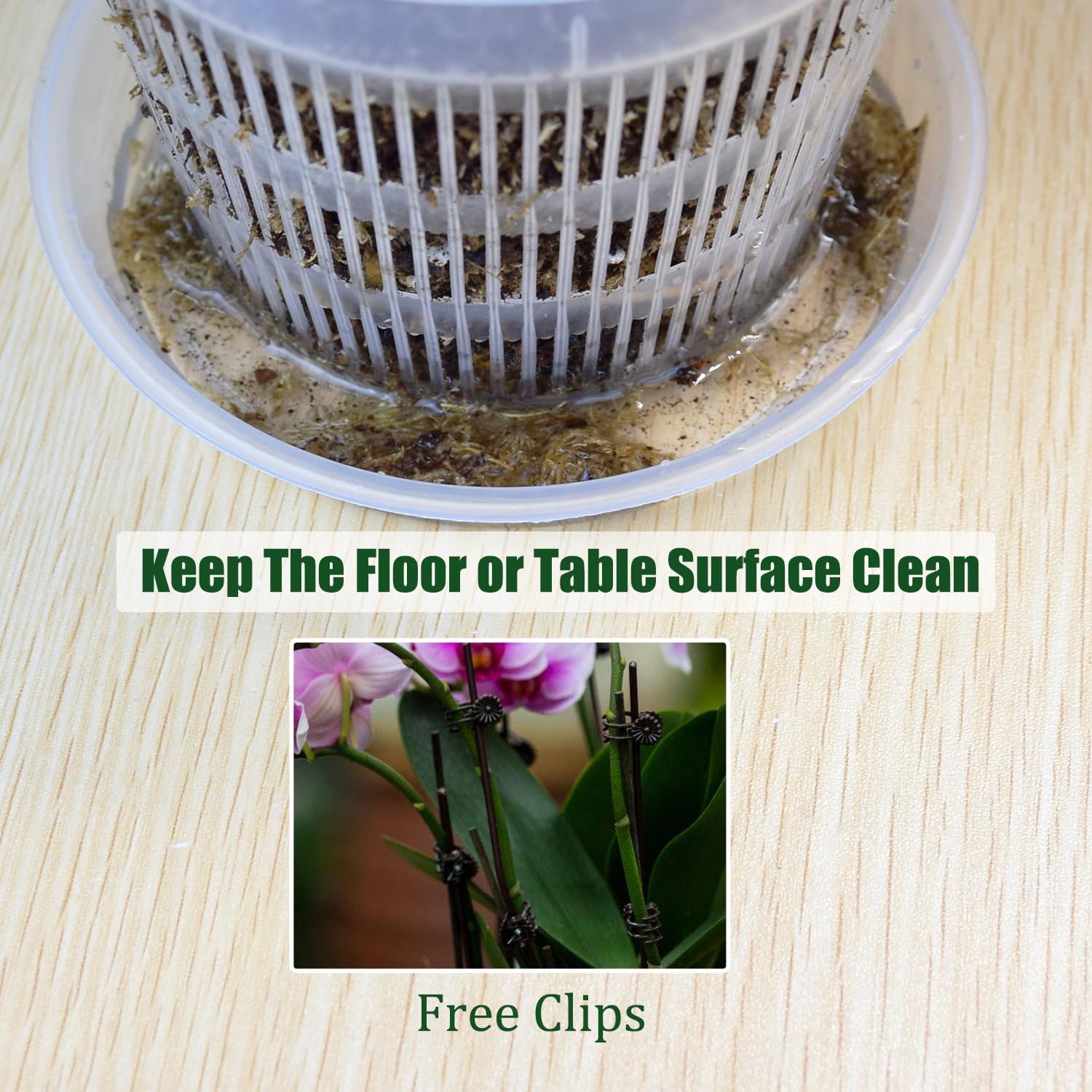 Tialero 5.5-inch clear orchid pot with drainage supports healthy growth