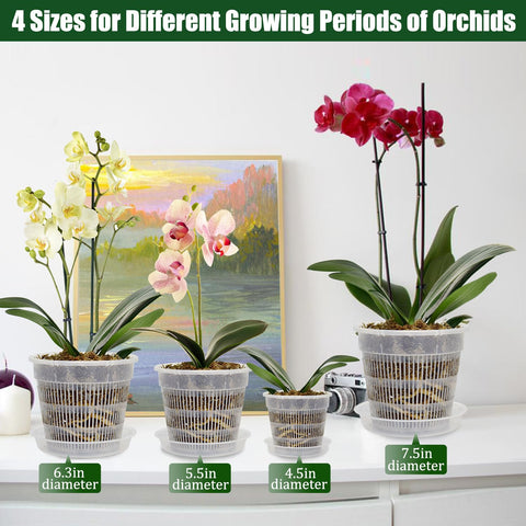 Tialero 6.3-inch clear orchid pot ideal for mid-size orchids and repotting