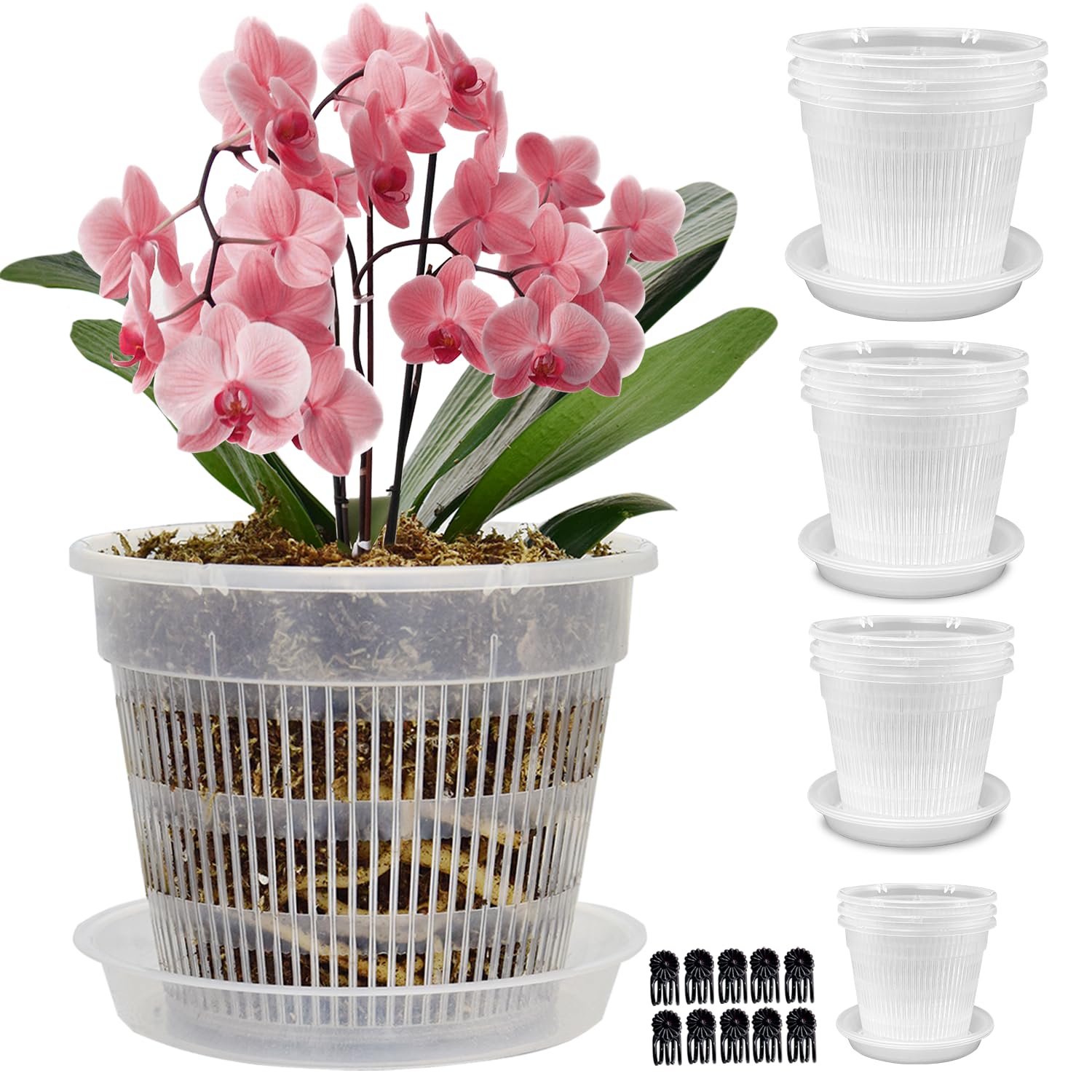 Tialero 7.5-inch clear orchid pot for easy root observation and moisture check
