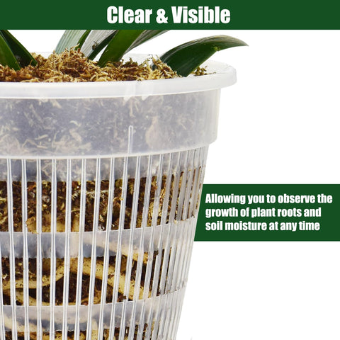 Tialero vented holes on orchid pot promoting airflow and root health