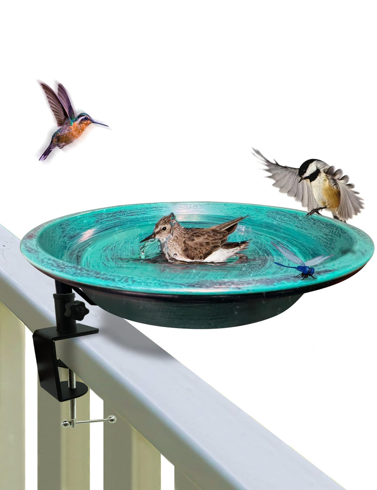 TIANCENTRAL H deck-mounted bird bath with clamp attracts birds to your garden.