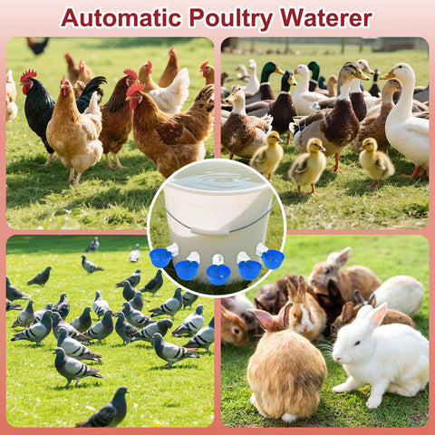 Tibaebe PP material chicken waterer cups, rugged and weather resistant