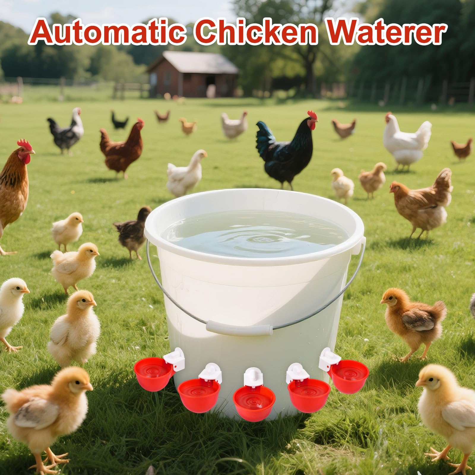 Tibaebe wide-application poultry water cups fit multiple birds and coop layouts.