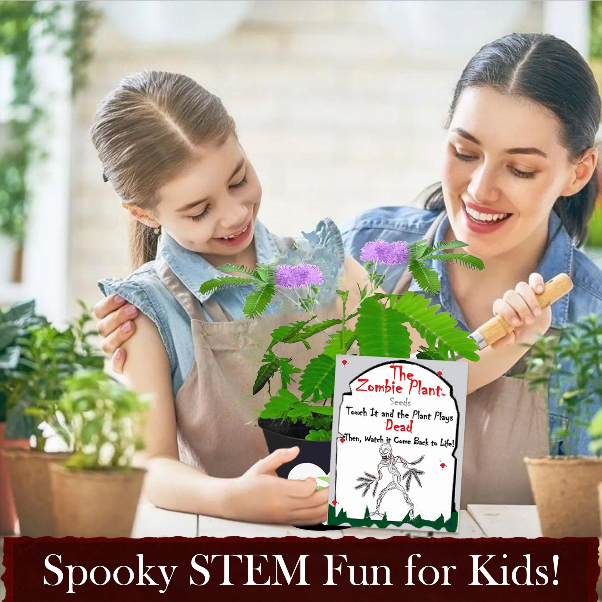 TickleMe Plant brain-like flowers as a playful decor focal point