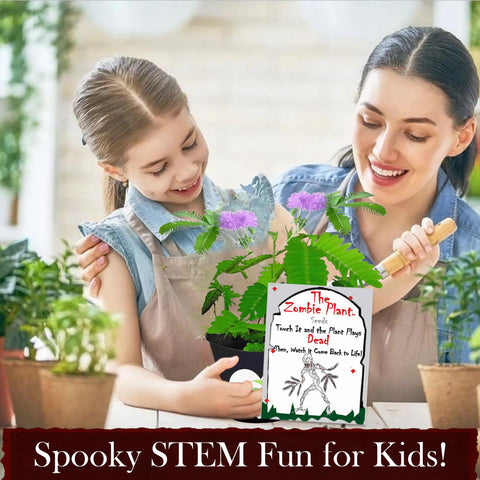 TickleMe Plant brain-like flowers as a playful decor focal point