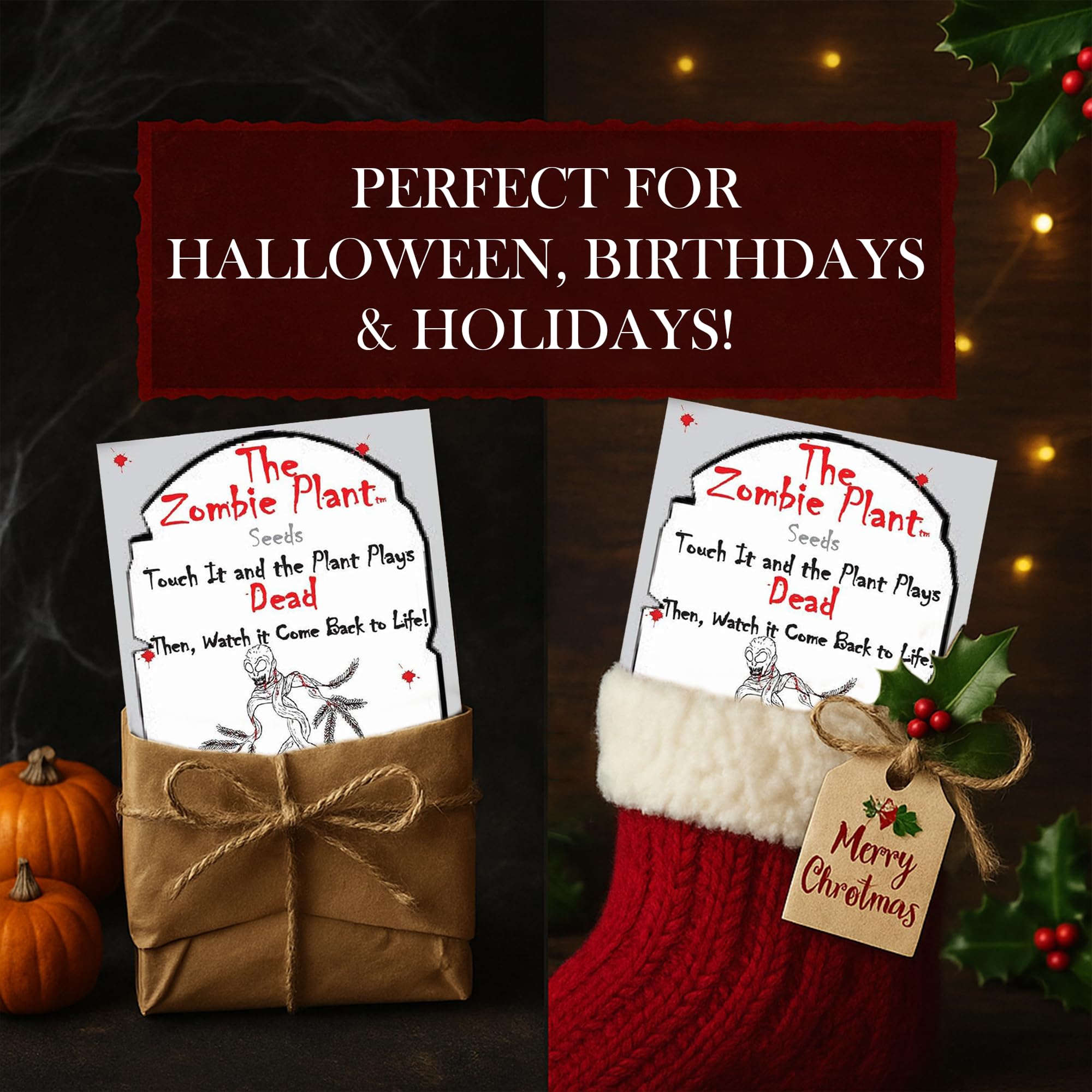 TickleMe Plant gift packaging two packets for an educational gift