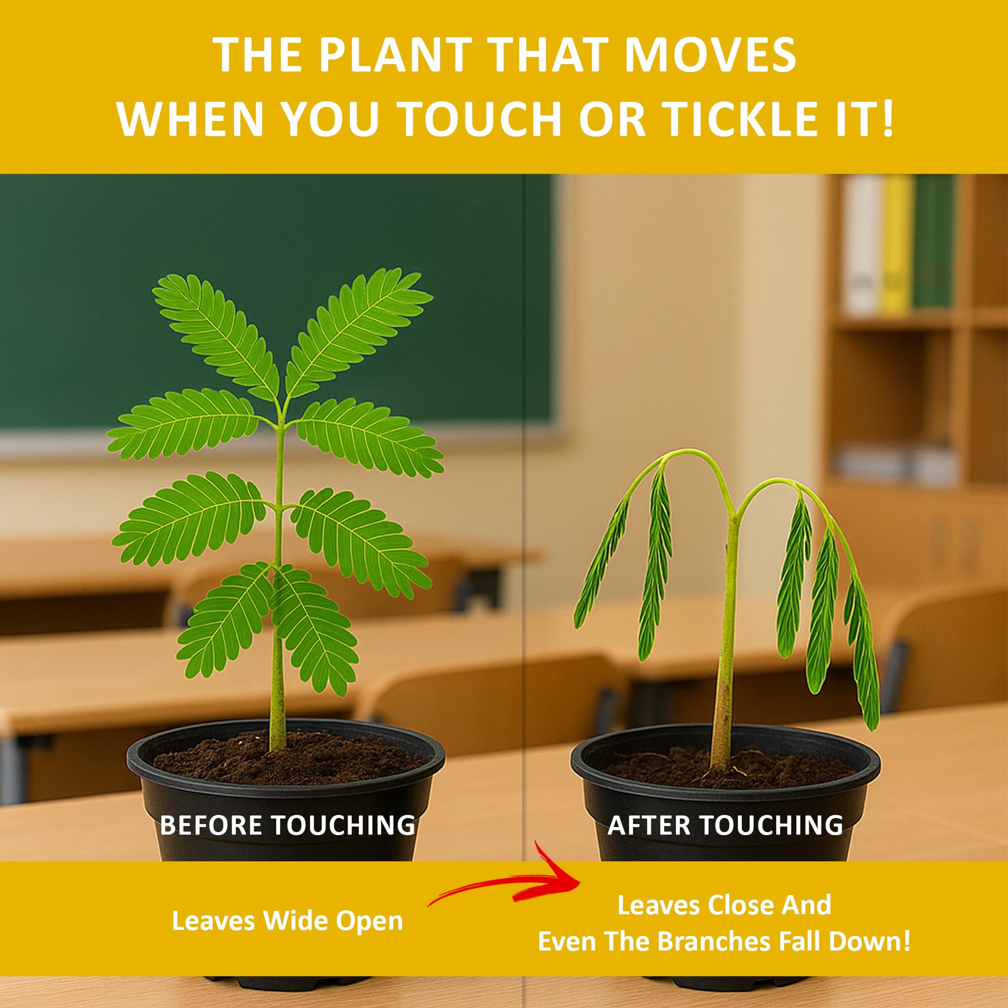 TickleMe Plant live plant touch reaction shows a responsive indoor plant