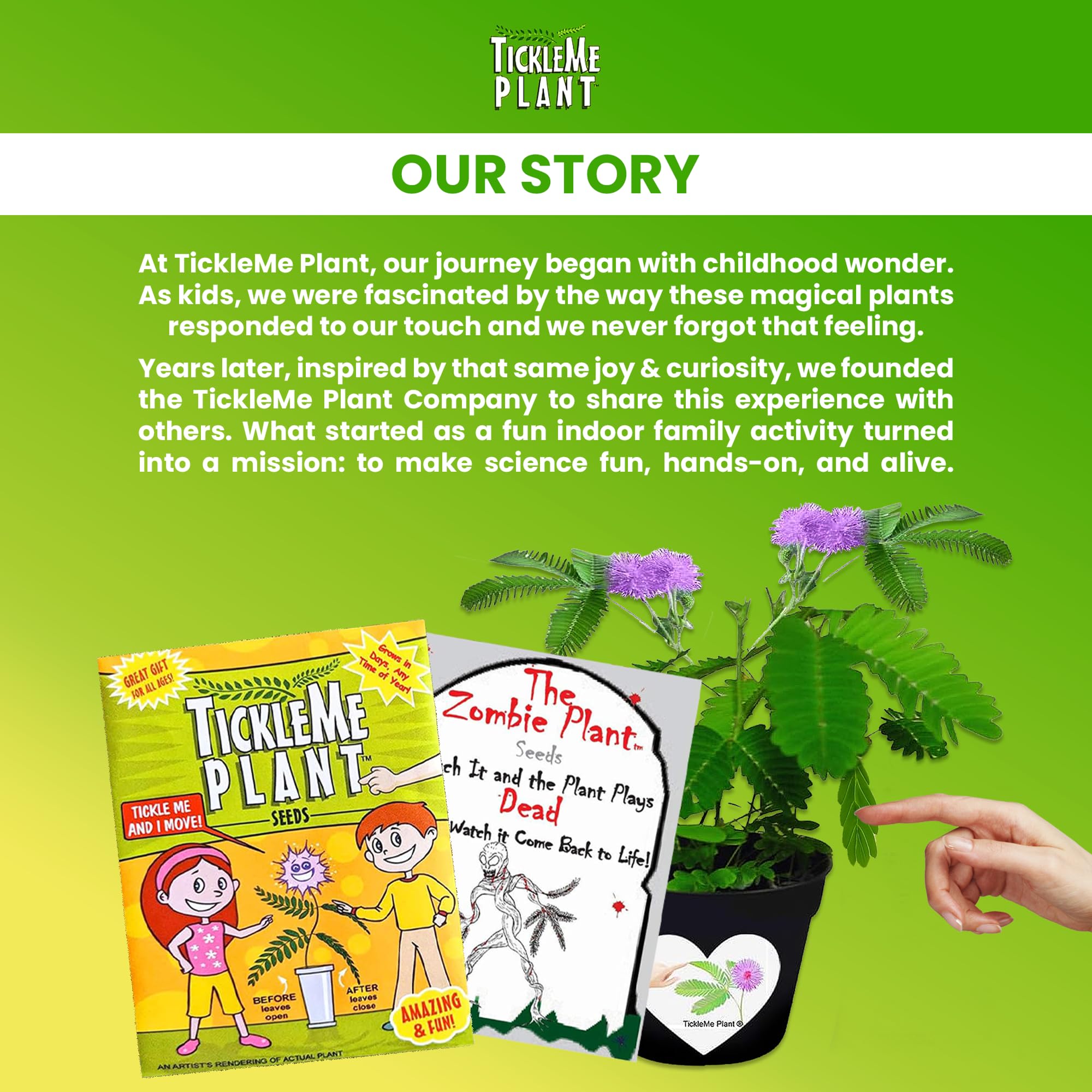 TickleMe Plant gift packaging ideal for gifts