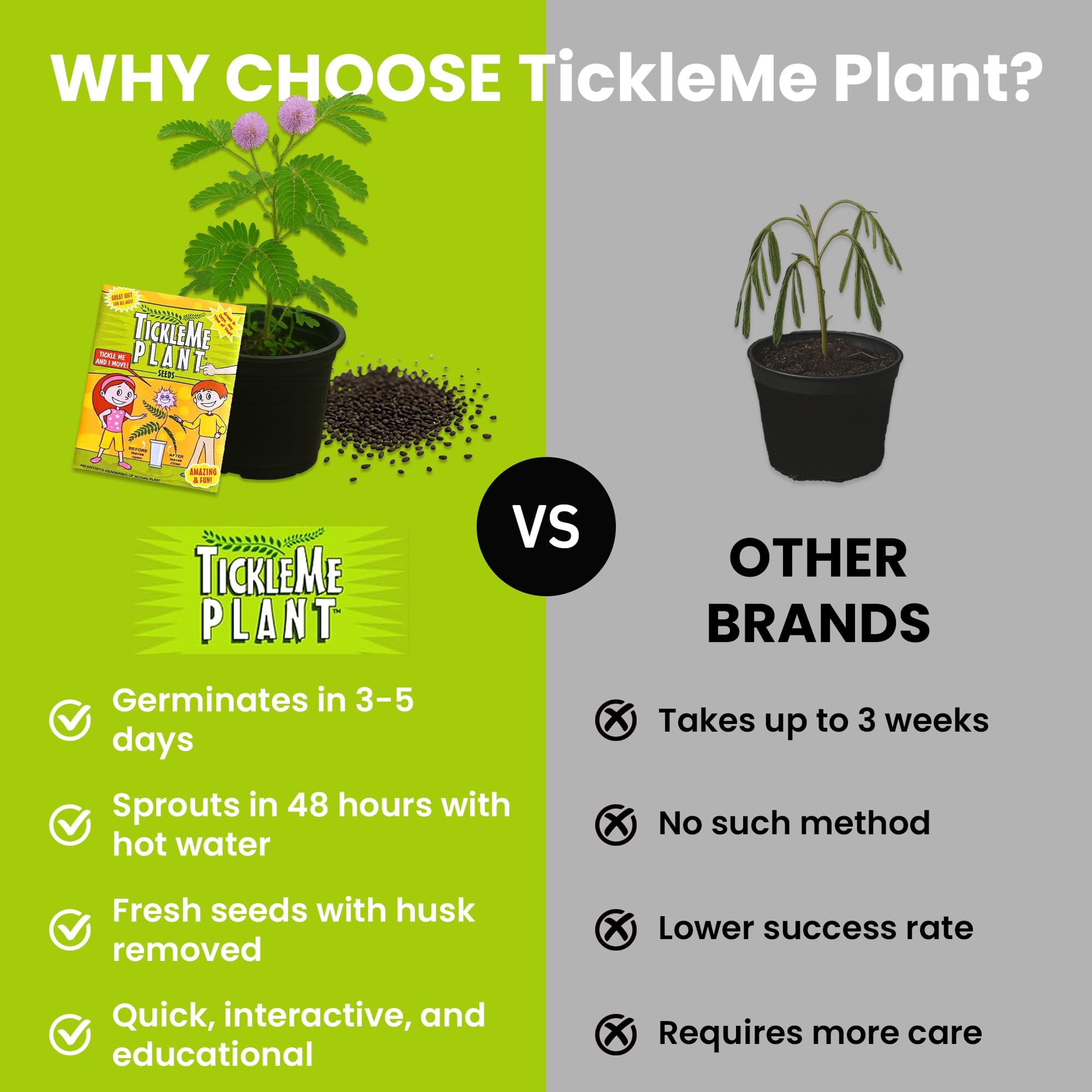 TickleMe Plant seeds packet ready for sowing